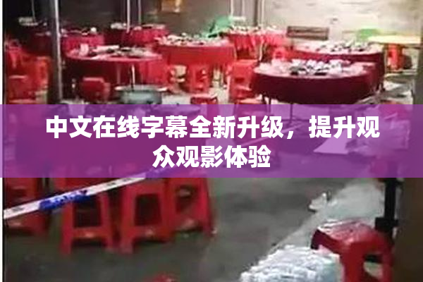 中文在线字幕全新升级，提升观众观影体验
