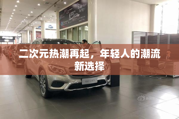 二次元热潮再起，年轻人的潮流新选择