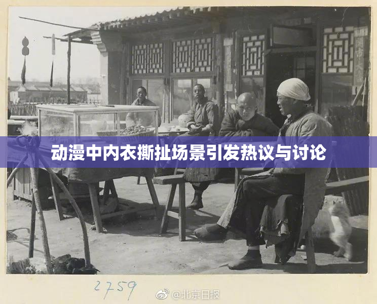 动漫中内衣撕扯场景引发热议与讨论