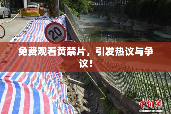 免费观看黄禁片，引发热议与争议！