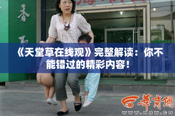 《天堂草在线观》完整解读：你不能错过的精彩内容！