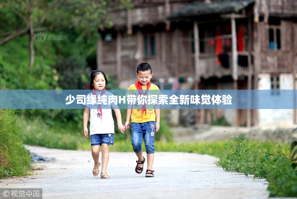 少司缘纯肉H带你探索全新味觉体验