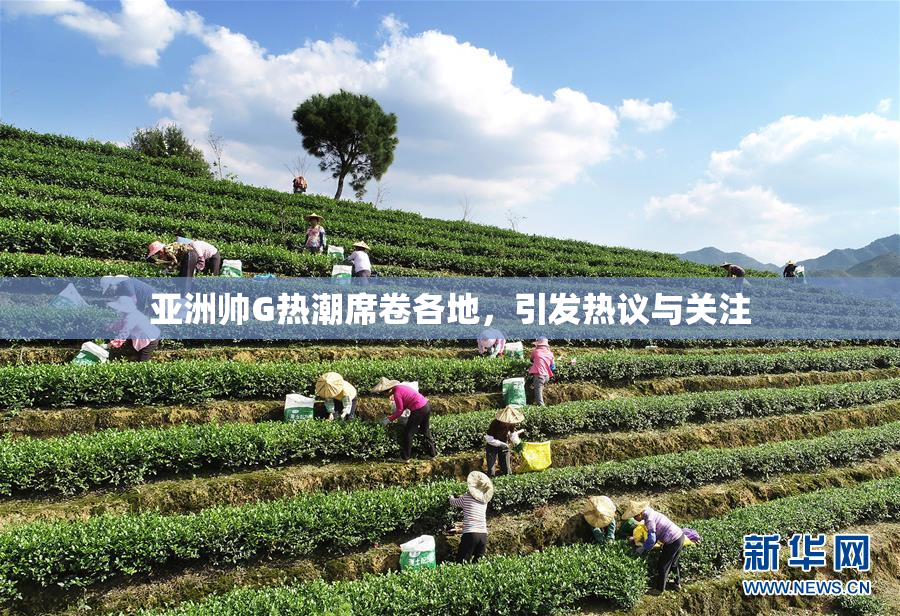 亚洲帅G热潮席卷各地，引发热议与关注
