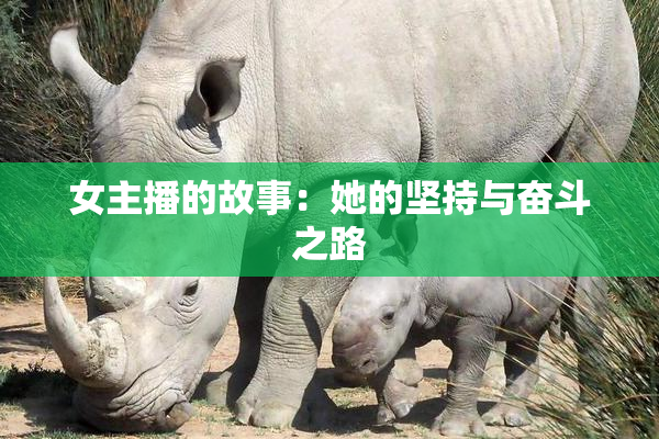 女主播的故事：她的坚持与奋斗之路