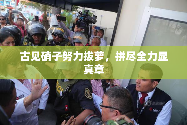 古见硝子努力拔萝，拼尽全力显真章