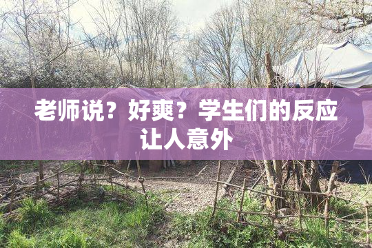 老师说？好爽？学生们的反应让人意外