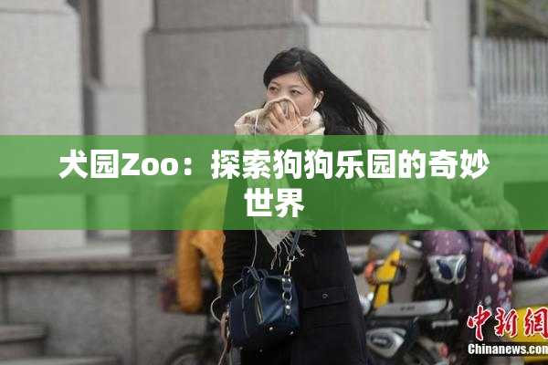 犬园Zoo：探索狗狗乐园的奇妙世界