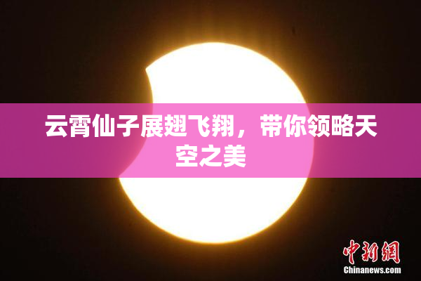 云霄仙子展翅飞翔，带你领略天空之美