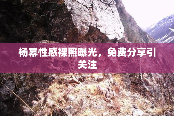 杨幂性感裸照曝光，免费分享引关注
