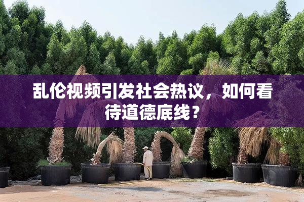 乱伦视频引发社会热议，如何看待道德底线？