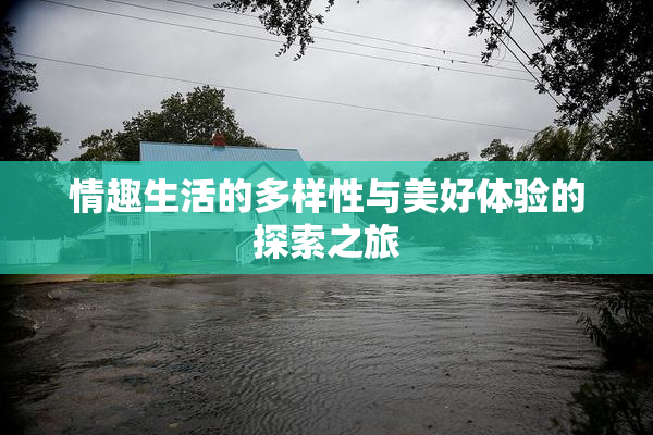情趣生活的多样性与美好体验的探索之旅
