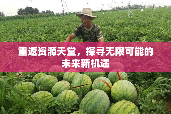 重返资源天堂，探寻无限可能的未来新机遇