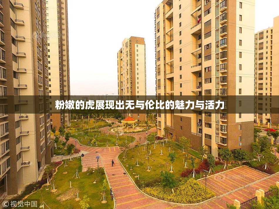 粉嫩的虎展现出无与伦比的魅力与活力
