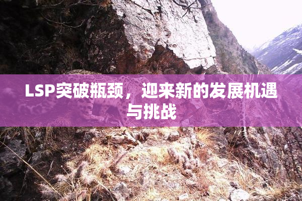 LSP突破瓶颈，迎来新的发展机遇与挑战