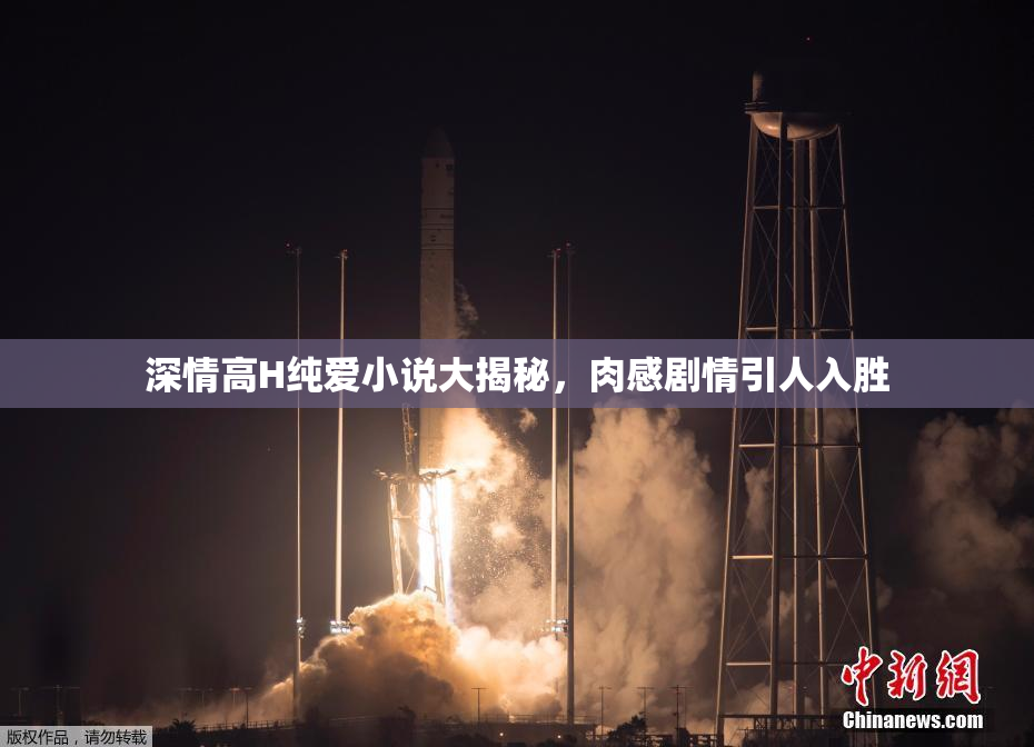 深情高H纯爱小说大揭秘，肉感剧情引人入胜