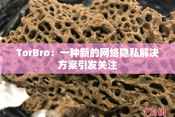 TorBro：一种新的网络隐私解决方案引发关注