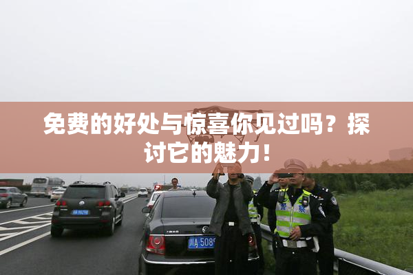 免费的好处与惊喜你见过吗？探讨它的魅力！
