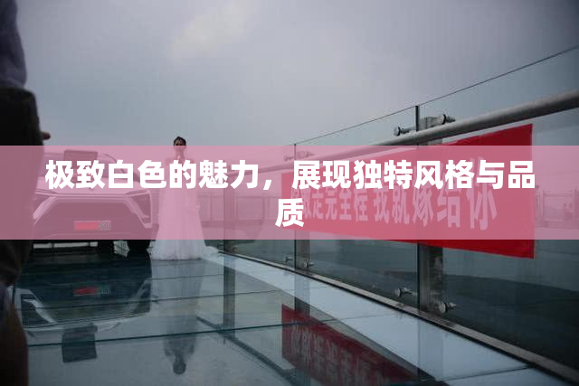 极致白色的魅力，展现独特风格与品质