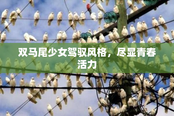 双马尾少女驾驭风格，尽显青春活力