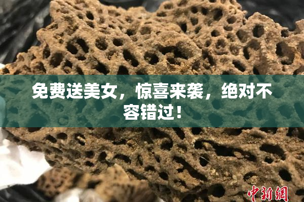 免费送美女，惊喜来袭，绝对不容错过！