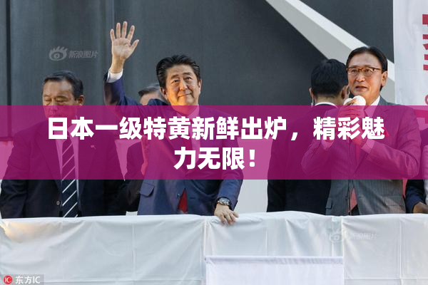 日本一级特黄新鲜出炉，精彩魅力无限！