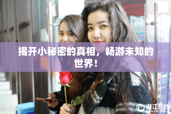 揭开小秘密的真相，畅游未知的世界！