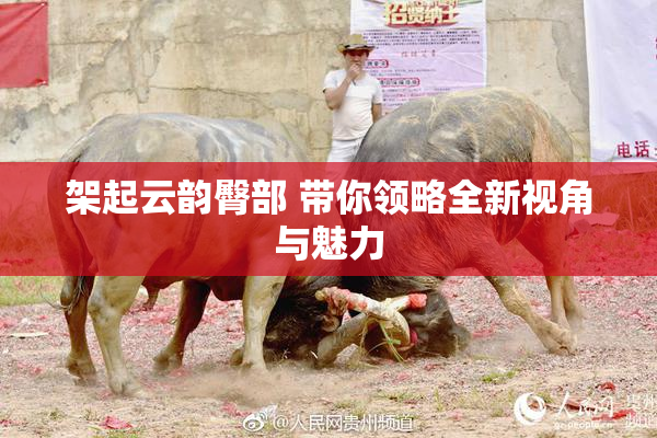 架起云韵臀部 带你领略全新视角与魅力