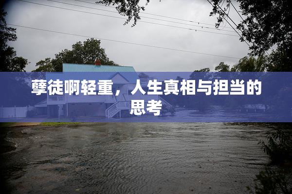 孽徒啊轻重，人生真相与担当的思考