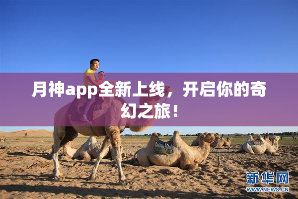 月神app全新上线，开启你的奇幻之旅！
