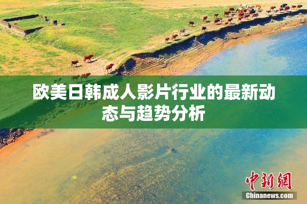 欧美日韩成人影片行业的最新动态与趋势分析