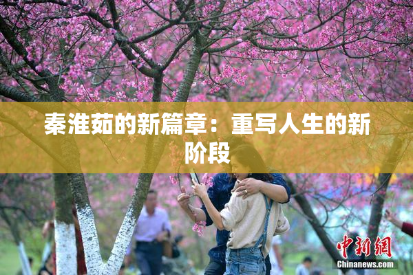 秦淮茹的新篇章：重写人生的新阶段