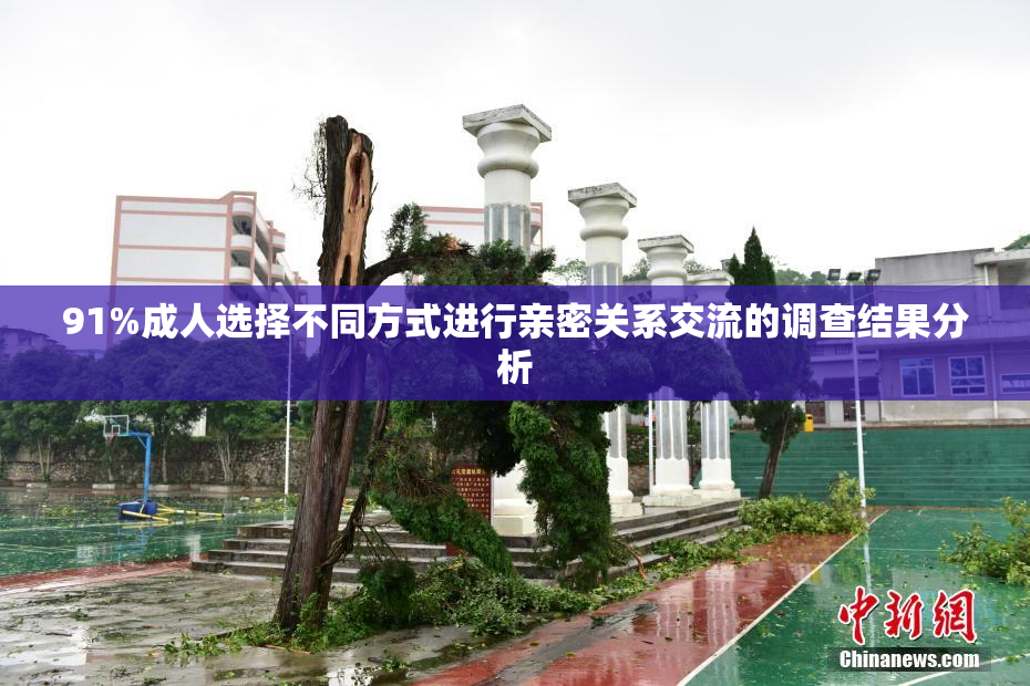 91%成人选择不同方式进行亲密关系交流的调查结果分析
