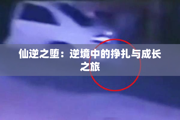 仙逆之堕：逆境中的挣扎与成长之旅