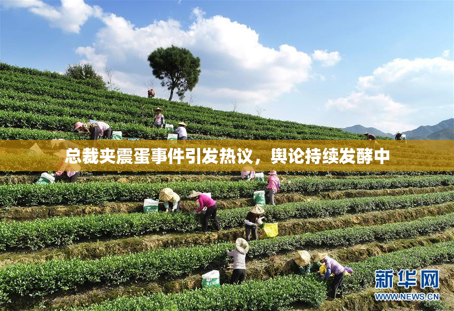 总裁夹震蛋事件引发热议，舆论持续发酵中