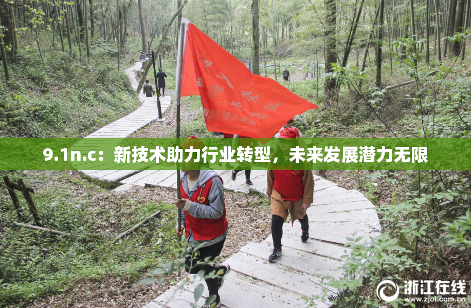 9.1n.c：新技术助力行业转型，未来发展潜力无限
