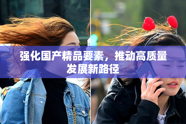 强化国产精品要素，推动高质量发展新路径