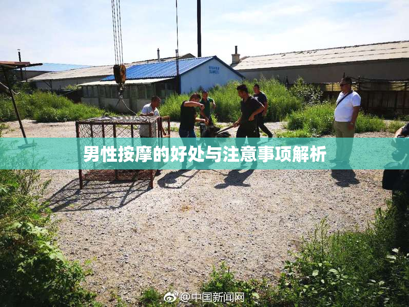 男性按摩的好处与注意事项解析