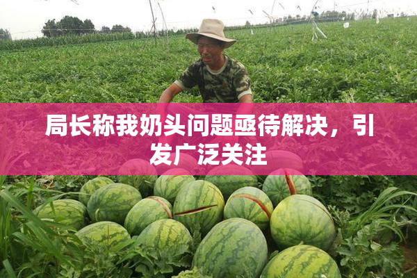 局长称我奶头问题亟待解决，引发广泛关注