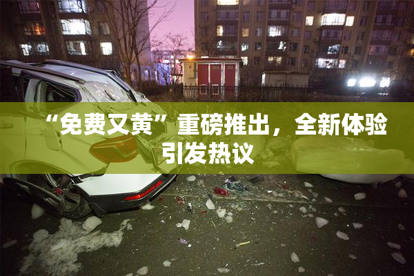 “免费又黄”重磅推出，全新体验引发热议