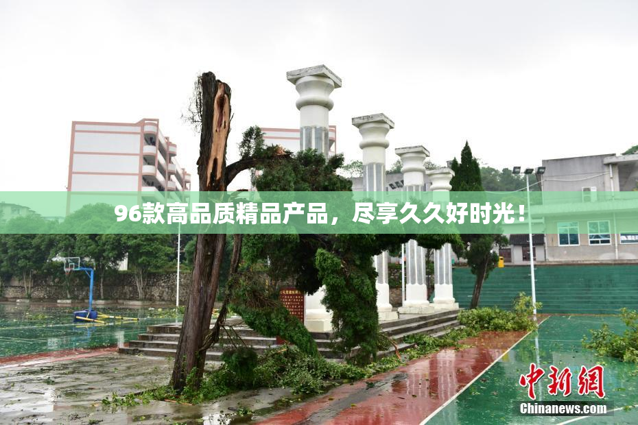 96款高品质精品产品，尽享久久好时光！