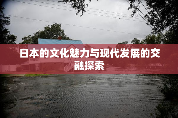日本的文化魅力与现代发展的交融探索