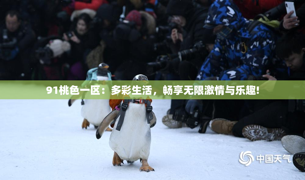 91桃色一区：多彩生活，畅享无限激情与乐趣!