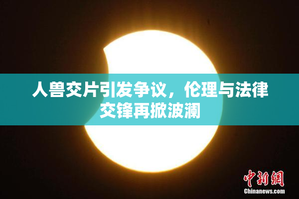 人兽交片引发争议，伦理与法律交锋再掀波澜