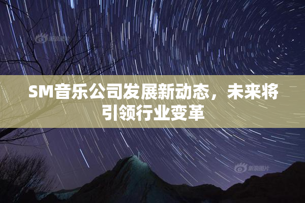 SM音乐公司发展新动态，未来将引领行业变革