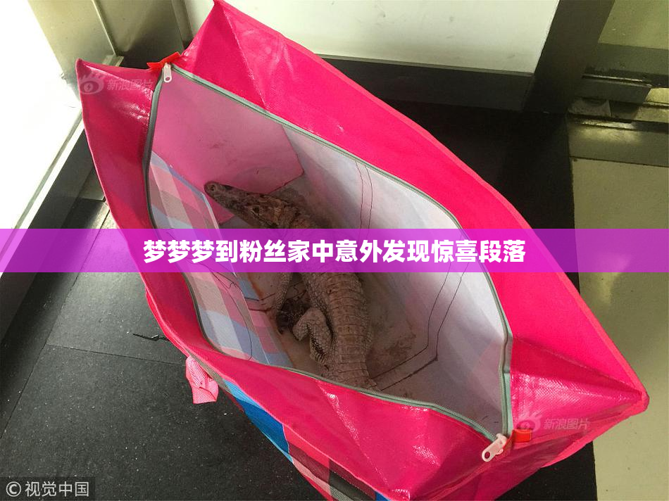 梦梦梦到粉丝家中意外发现惊喜段落