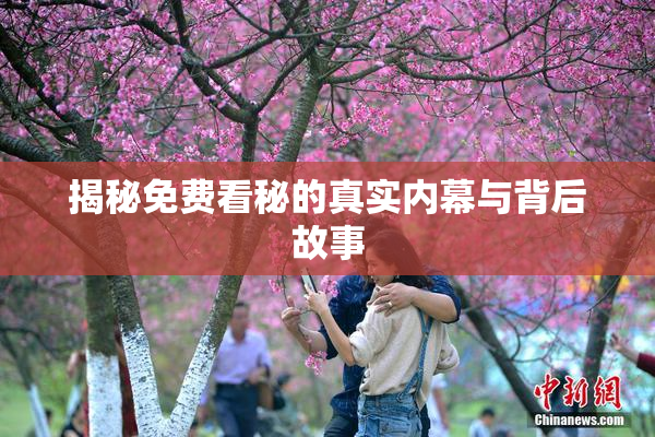 揭秘免费看秘的真实内幕与背后故事