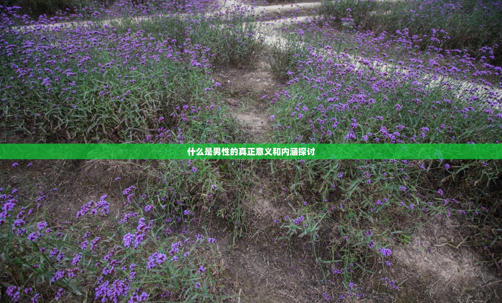什么是男性的真正意义和内涵探讨