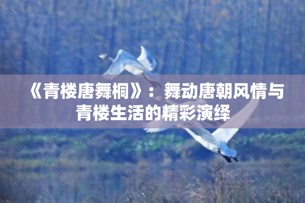 《青楼唐舞桐》：舞动唐朝风情与青楼生活的精彩演绎