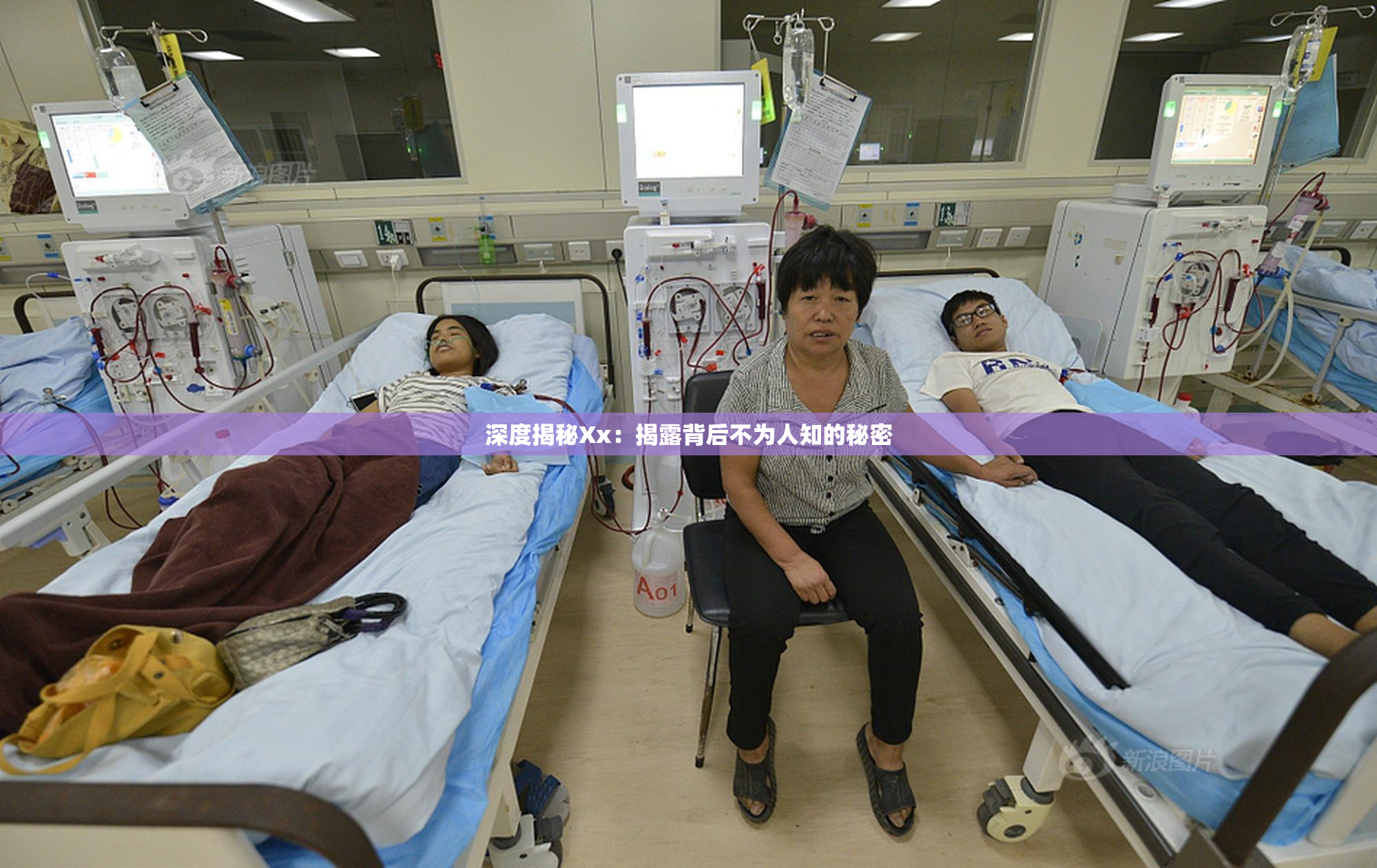 深度揭秘Xx：揭露背后不为人知的秘密