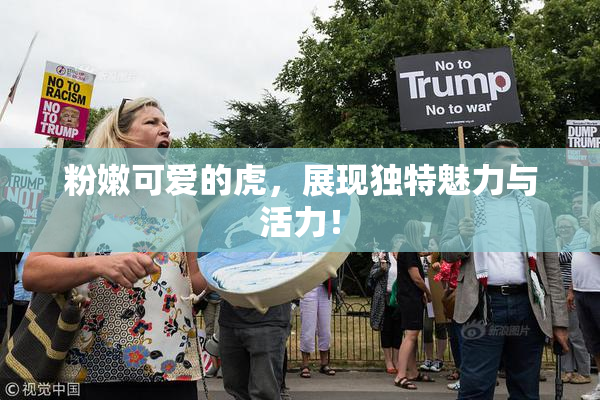 粉嫩可爱的虎，展现独特魅力与活力！